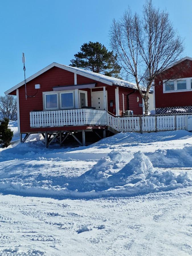Camp Saltstraumen-elvegard