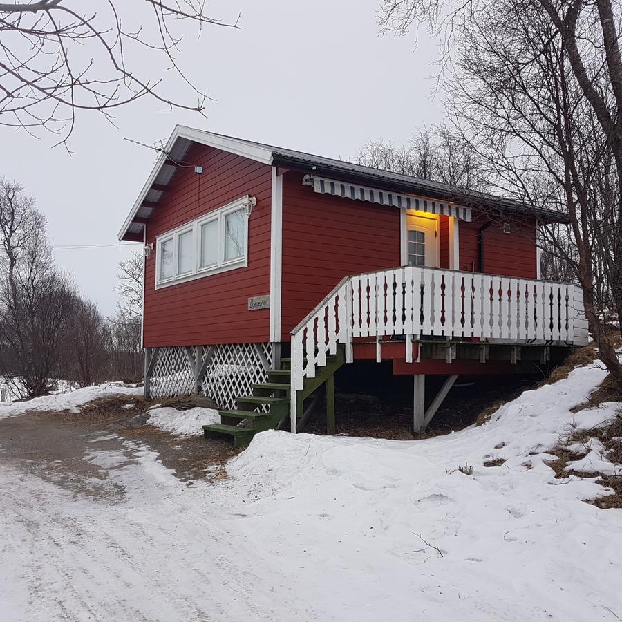 Camp Saltstraumen-elvegard