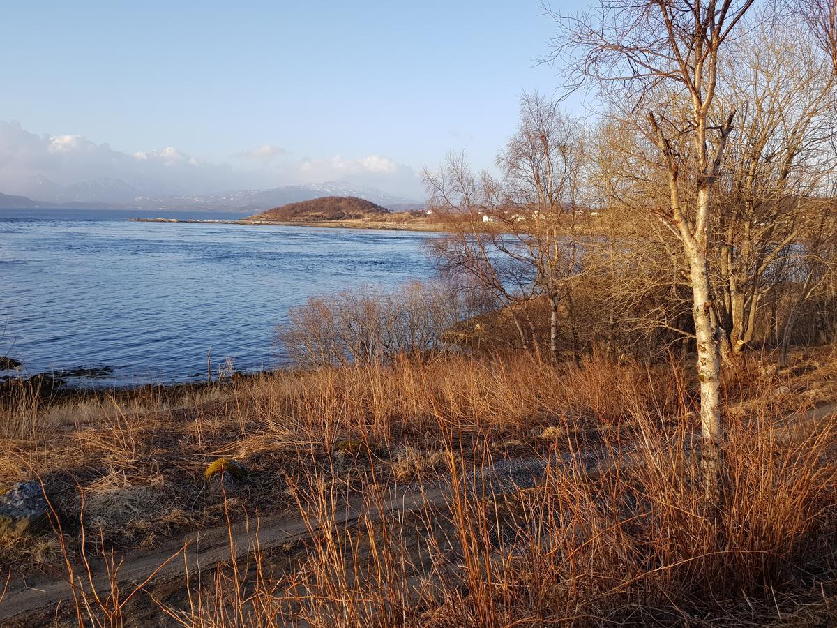 Camp Saltstraumen-elvegard