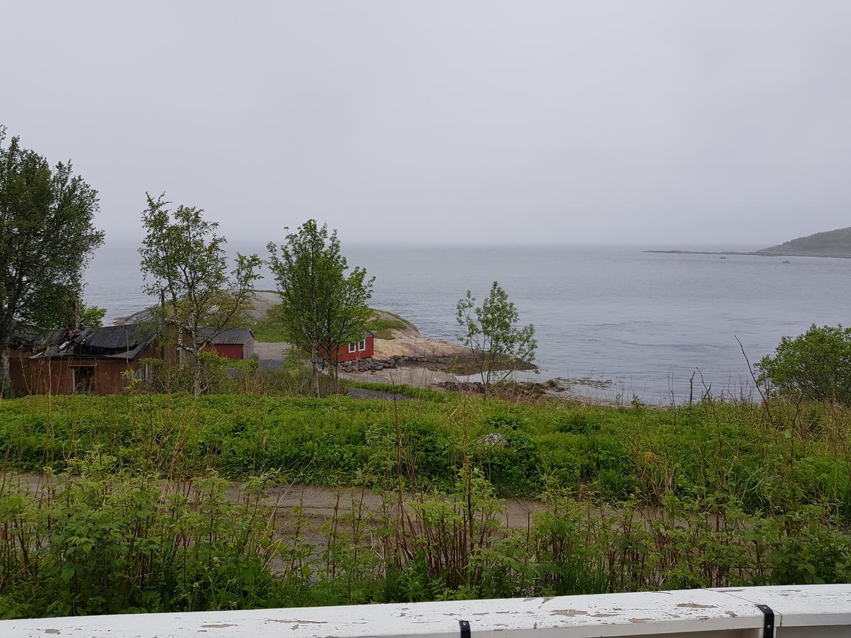 Camp Saltstraumen-elvegard